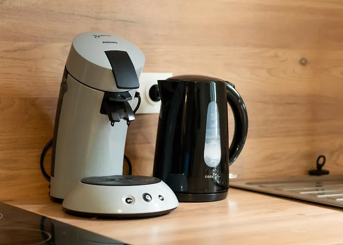 Côté Cour - Lourdes