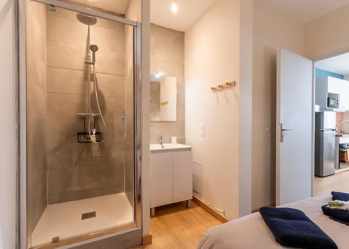 Apartment Cote Cour - 9 Min Des Sanctuaires - Moderne & Equipe - Jusqu'a 4 Couchages Lourdes